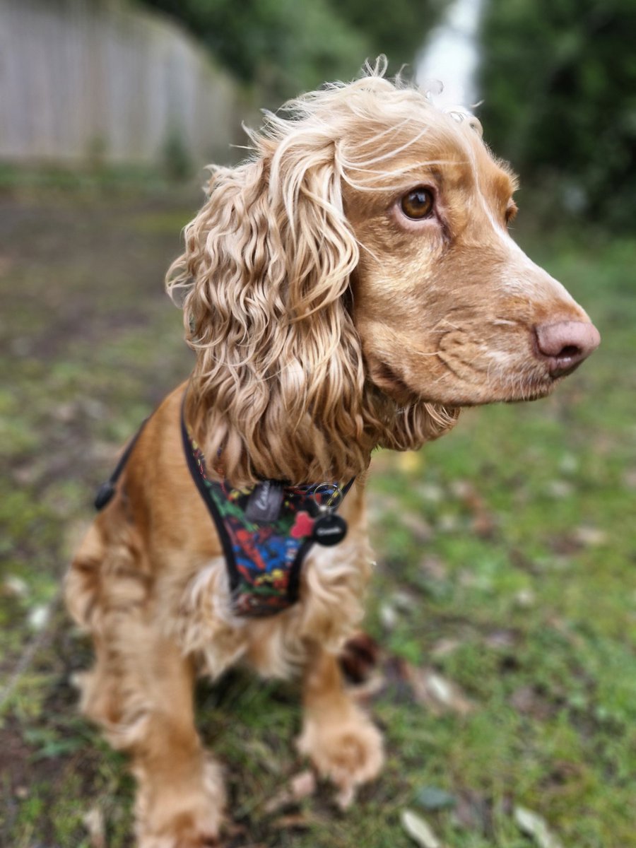 Rob Darke tweet media