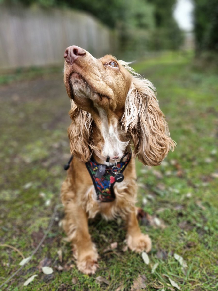 Rob Darke tweet media