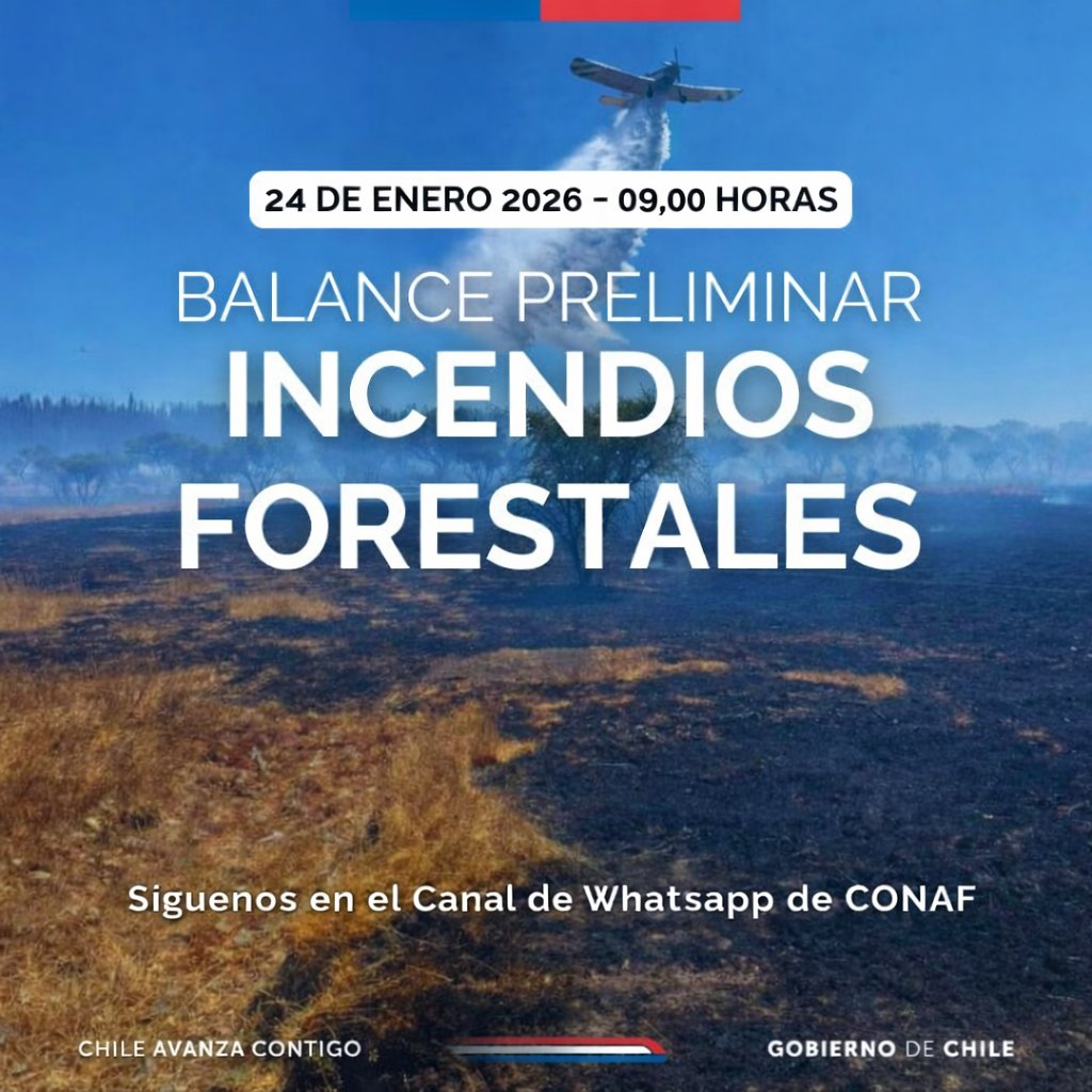 conaf_minagri's tweet photo. ➡️Situación nacional
15 incendios en combate
 46 controlados
 2 extinguidos

➡️Alertas vigentes (SENAPRED)
🔴Alerta Roja: Ñuble y Biobío (incendios forestales)
 🟡Alerta Amarilla: La Araucanía
 🟢Alerta Temprana Preventiva:
O’Higgins, Maule y Aysén (amenaza de incendios)

➡️Incendios relevantes en combate
Trinitarias      (Biobío – Concepción): 15.541 ha
Rancho      Chico (Biobío – Concepción): 7.231 ha
Perales      Biobío (Ñuble – Ránquil): 5.100 ha
Rucahue      Sur (Biobío – Laja): 4.123 ha
San      Lorenzo (Biobío – Florida): 3.968 ha
Monte      Negro (Ñuble – Quillón): 1.500 ha
Codihue      (La Araucanía – Nueva Imperial): 856 ha

➡️Otros estados
Extinguido:
El      Tapihue (RM – Tiltil): 1.600 ha
Controlados:
Rahul      Bajo (Ñuble)
Reserva      Ñuble (Pinto)
Alboyanco      (Angol)
El      Lingue Bajo 4 (Lumaco)
Bajo observación:
Punta      de Parra II (Tomé)