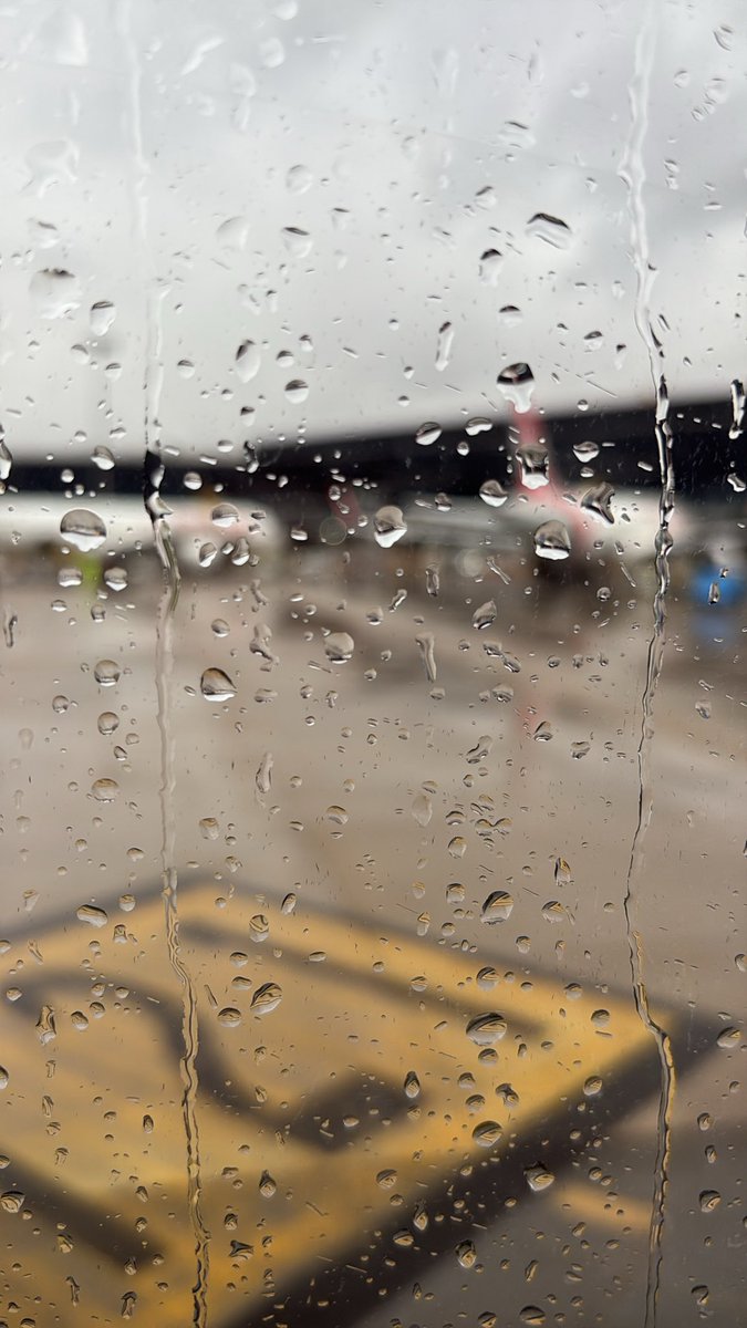 Gavin Horricks tweet media