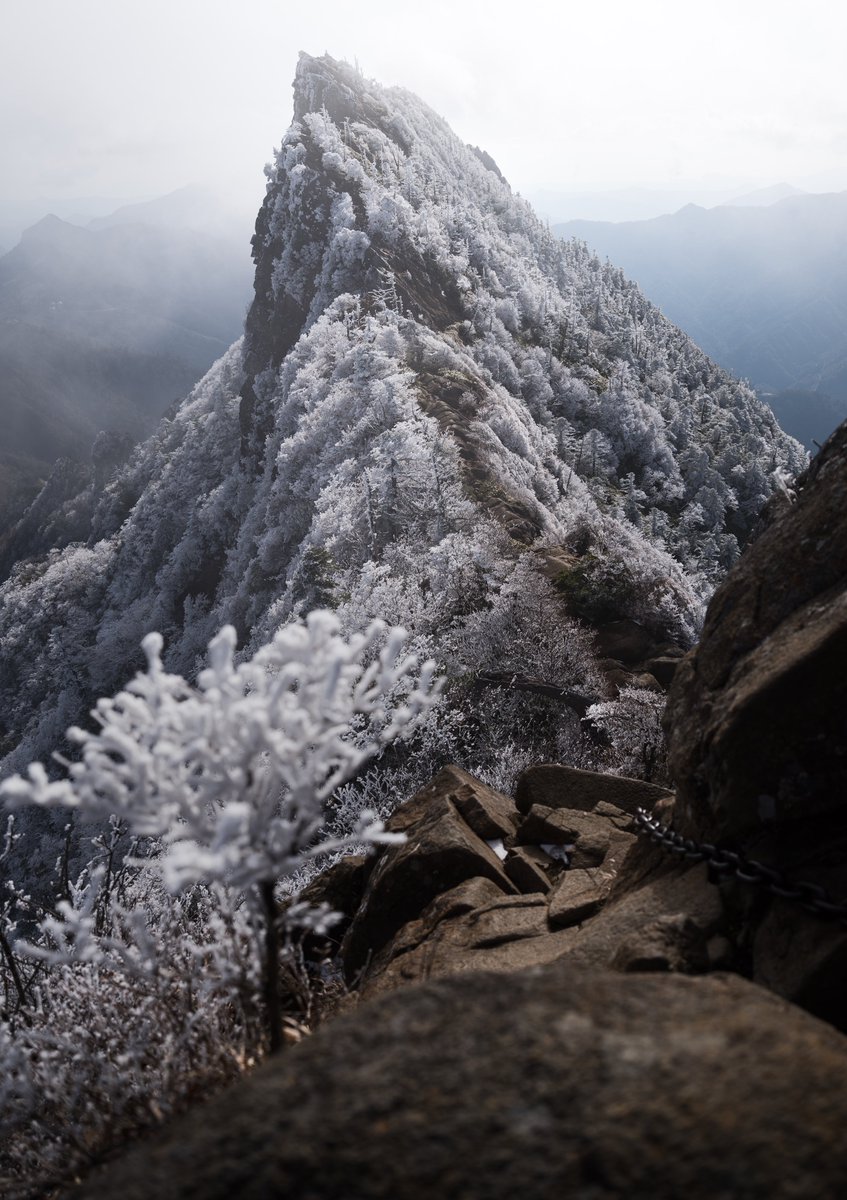 撮影機材
Nikon Z8 
NIKKOR Z 24-70mm F2.8 S II
#ニコンSNSギャラリー2026