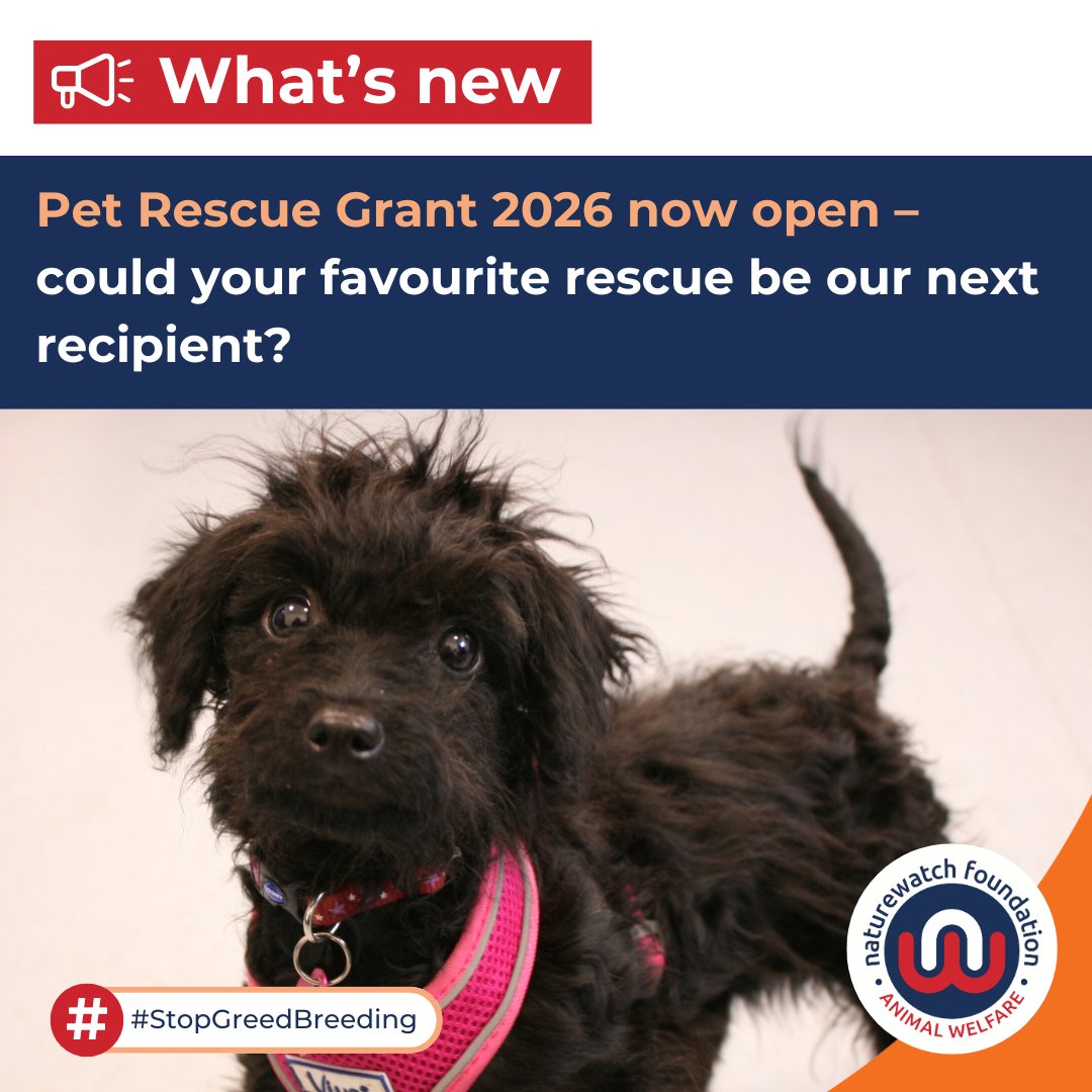 Naturewatch Foundation tweet media