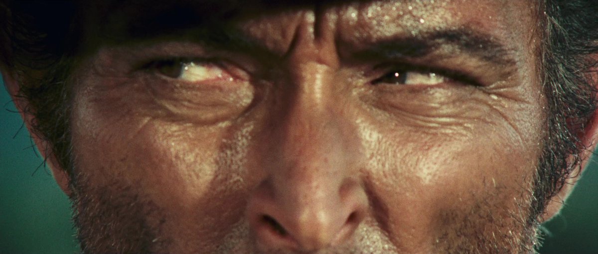 FilmFrame tweet media