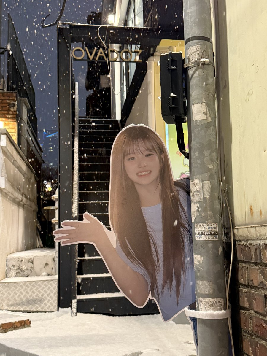 𝙄𝙧𝙞𝙨. tweet media