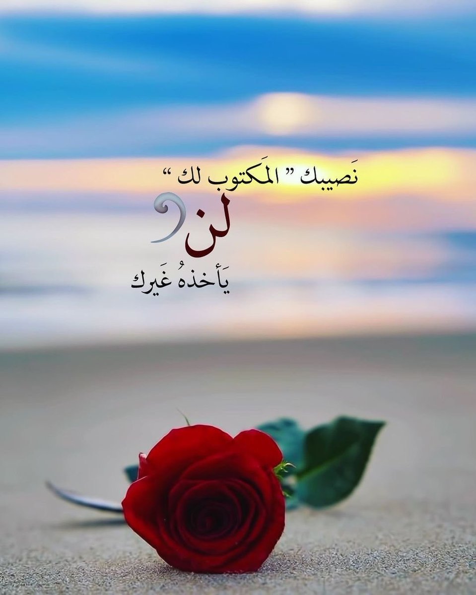 ❤️🕊️
مساءٌ هادئ كطمأنينة القلب،ونور يملأ الروح قبل المكان،ودعاء صادق بأن يكون الغد ألطف🦋
….
❤️🤍
#مساء_الخير 
#راقت_لي 
 #تعلم_مستدام