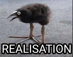 Schlokanov tweet media