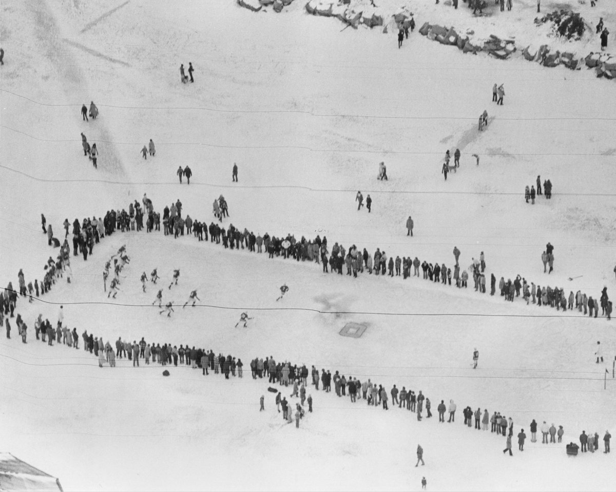 Mark Potter tweet media