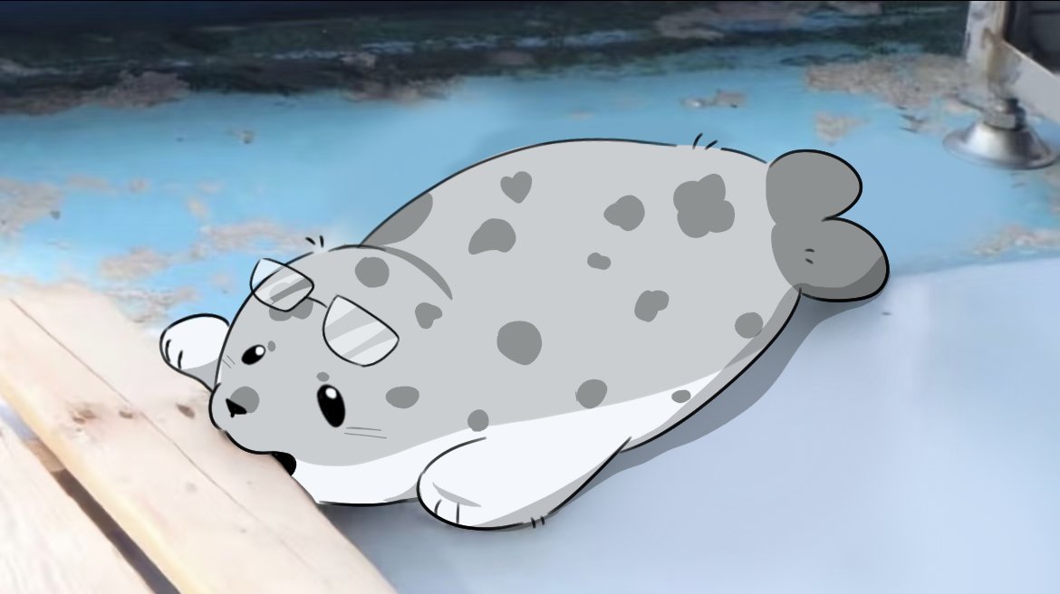 海豹豹 tweet media