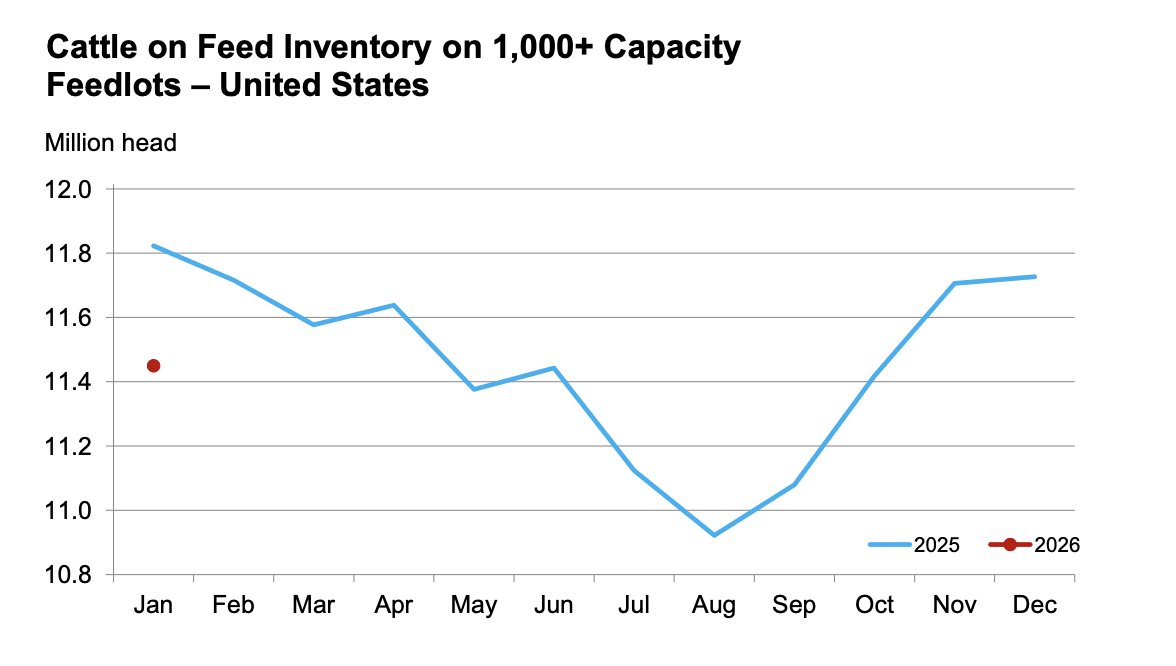 GoodFarmView's tweet image. #Cattle and calves on feed for the slaughter market in the US for feedlots with capacity of 1,000 or more head totaled 11.5 million head on January 1, 2026 🐮

The inventory was 3% below January 1, 2025. esmis.nal.usda.gov/sites/default/… @usda_nass
