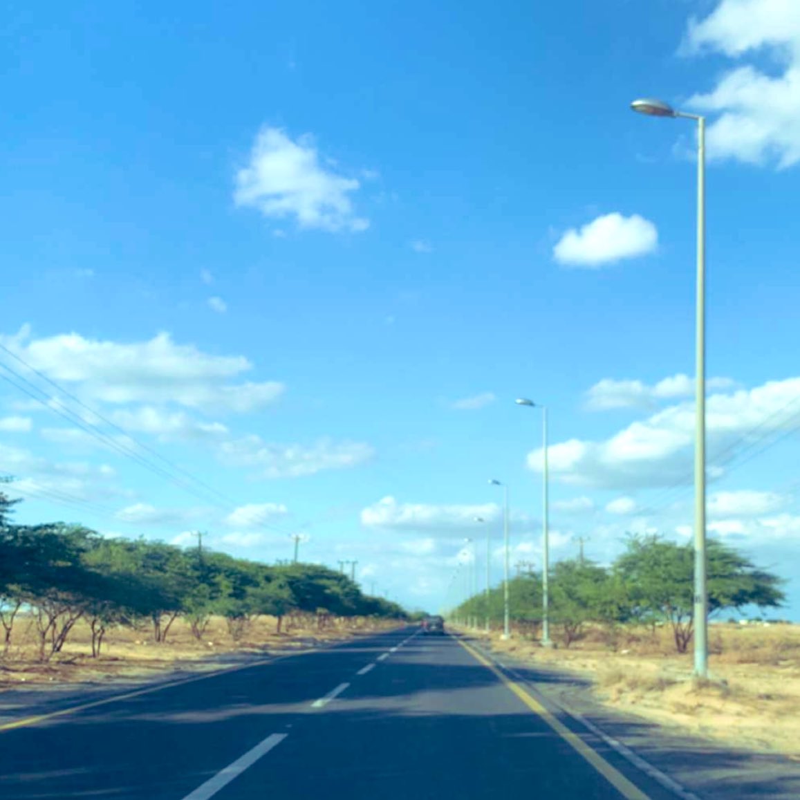 رفيق #السفر…فلتر السفره إما يشوّهها أو يجمّلها...🤷🏻‍♀️