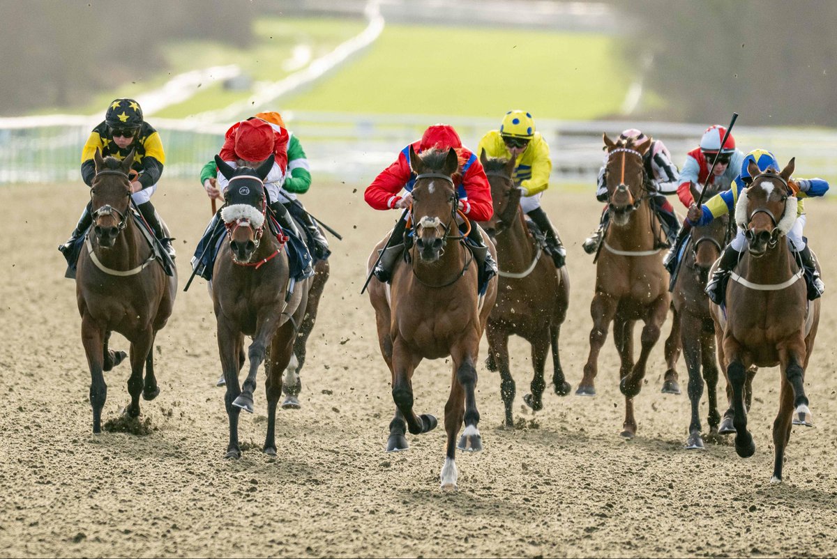 Lingfield Park tweet media