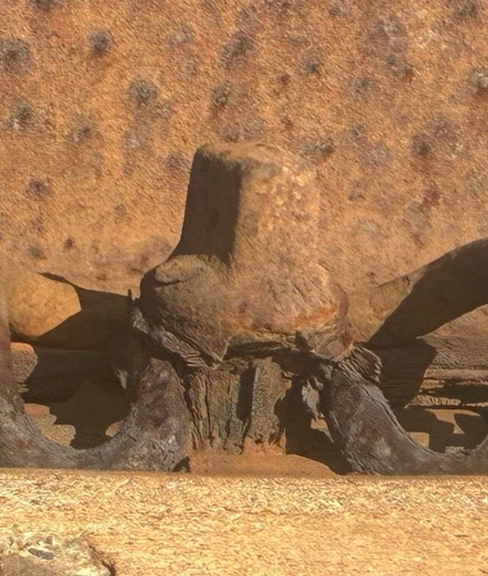 Framaurus's tweet image. Fotos de ayer. Tramo Cubelles-Vilanova. Tornillos defoliados y corroídos .