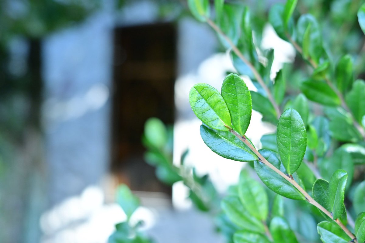 もこ@Re:FLIGHT tweet media