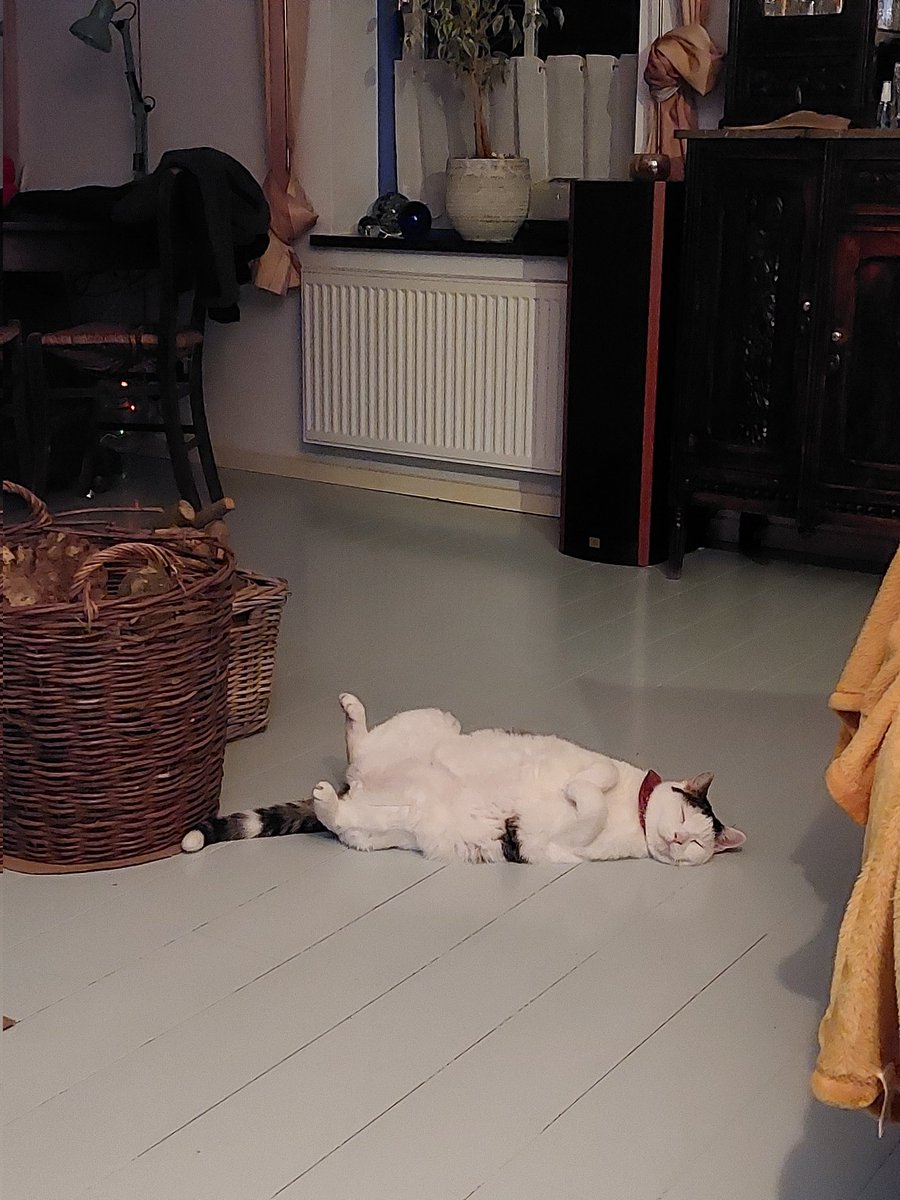 Margriet Bollen tweet media