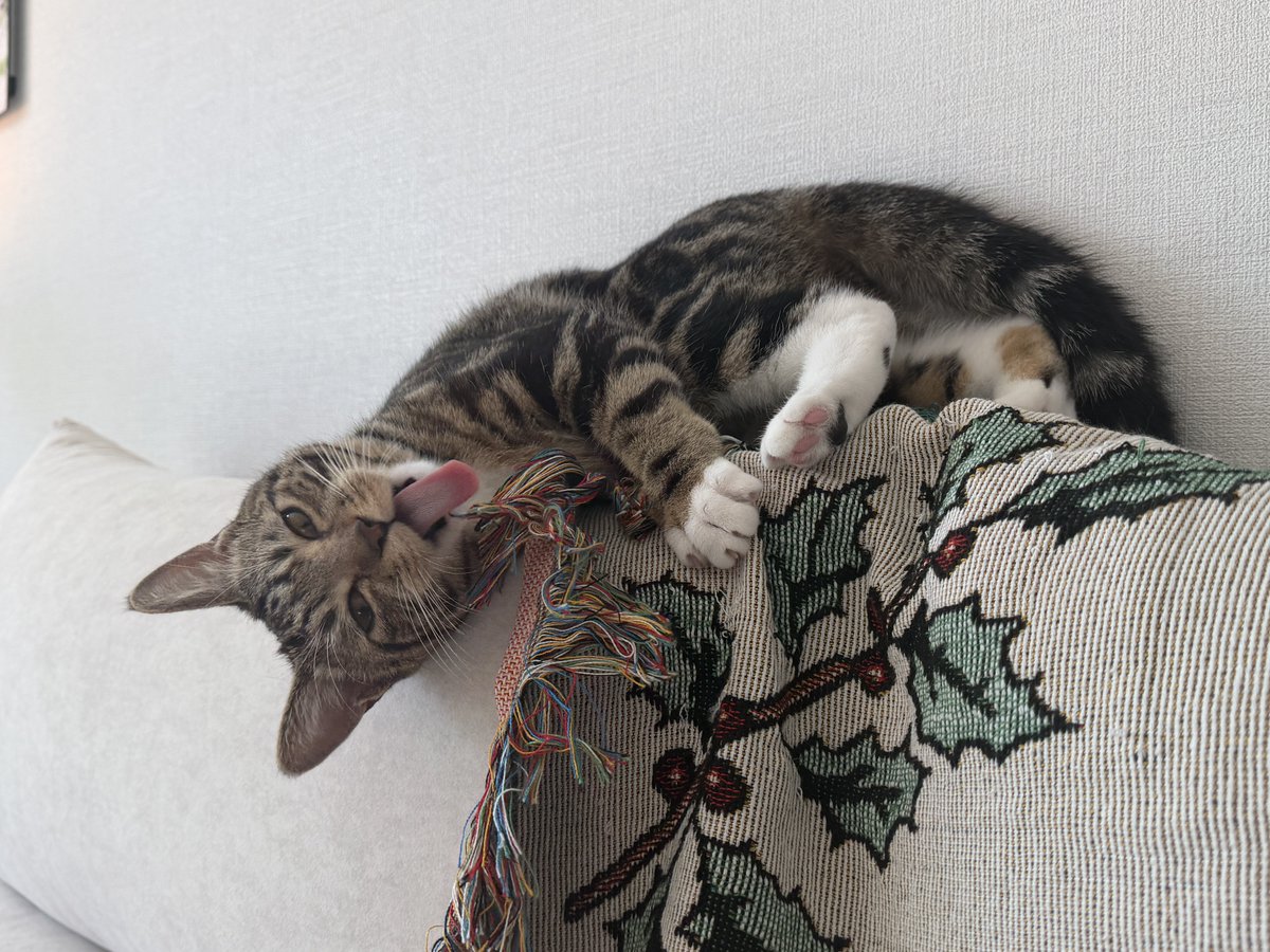 _Datstar_'s tweet image. 하루종일 집에서 쿨쿨띠하다가
짝꿍 따라서 잠실 나들이 조앗따💃💃