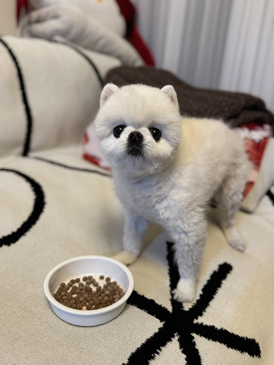 공연 끝나고 너무 후다닥 달려왔네요
다들 조심히 들어가세요^^

(황당한 표정의 공복강팡입니다)