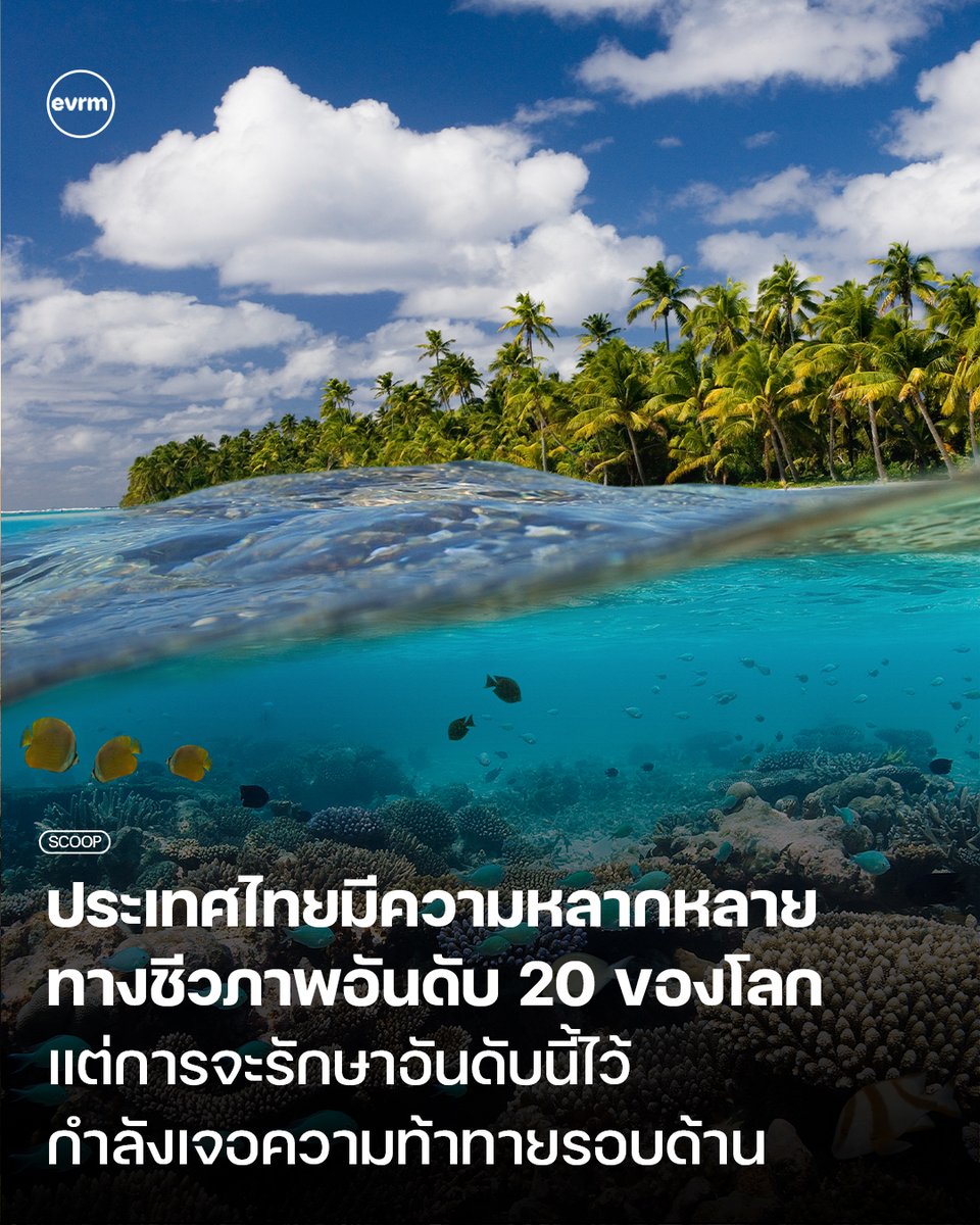 ◉ SCOOP: ประเทศไทยมีความหลากหลายทางชีวภาพอันดับ 20 ของโลก แต่การจะรักษาอันดับนี้ไว้กำลังเจอความท้าทายรอบด้าน
.
ประเทศไทยบ้านเราคือหนึ่งในประเทศที่มีความหลากหลายทางชีวภาพมากที่สุดเป็นอันดับต้น ๆ ของโลก จากการเปิดเผยโดย UNDP