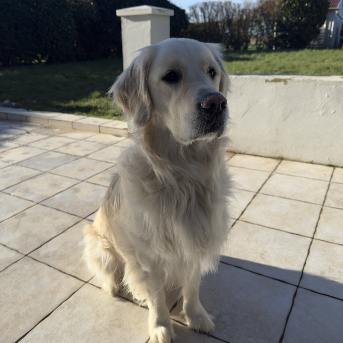 Lebecqryan's tweet photo. Mon p’tit pote ❤️ https://t.co/BDFr7QmQda