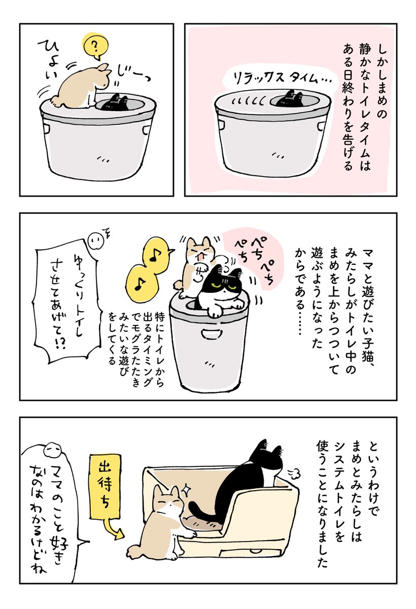 ねこのトイレ、どのタイプを設置しようかな?と探っていたときのはなし【まめみた編】
まめみた親子を保護したときなので結構前のはなしです 