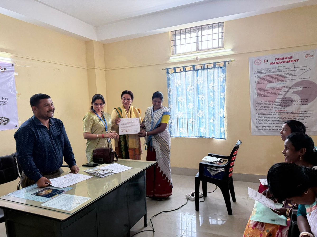 MssoSilk's tweet photo. 5-day CBT program was successfully concluded on 24.01.2026 at the P3 Unit, Kowabil, with certificate distribution among the participants in the presence of Smt. Tunu Brahma, Extension Officer, DoS Adabri, and Smt. Sandhaya Rani, Sericulture Demonstrator, Kowabil.
During the five-day training, 25 farmers were imparted both theoretical & hands-on practical knowledge through field-based exercises on Muga silkworm rearing, brushing and handling of mature worms, transfer of worms, pre-and post-disinfection of rearing fields, selection of suitable host plants for successive instars, disease & pest management practices, host plant maintenance, & grainage practices.
To further strengthen the knowledge of the participants, a trilingual technical booklet on Pest Management in Muga Sericulture was released and distributed among them. @csbmot @TexMinIndia