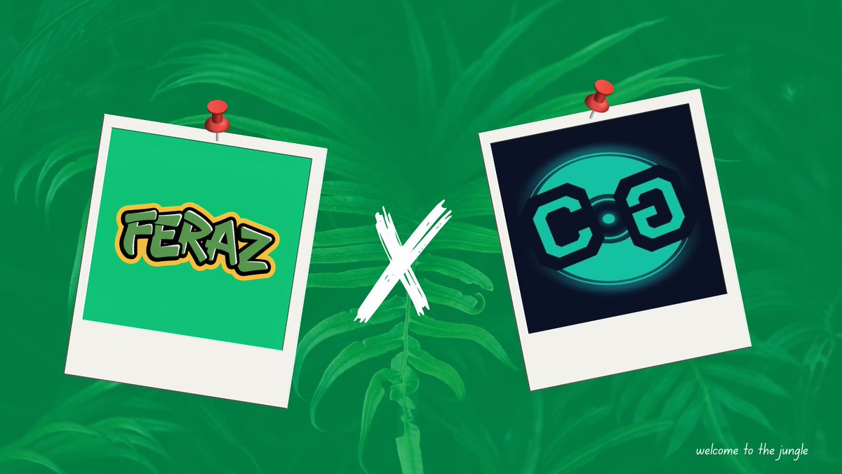 Feraz 🐾 ✳️ tweet media