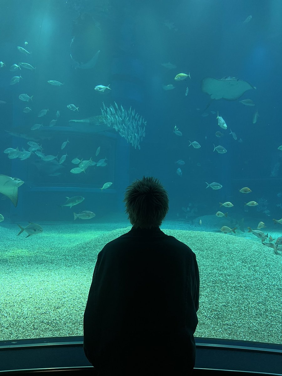 mimiabc31's tweet photo. 海遊館🐧 https://t.co/j3AVXsVls9