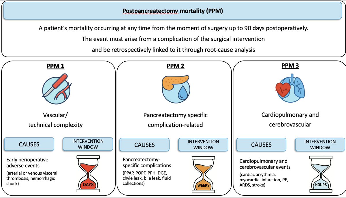Giovanni Marchegiani tweet media