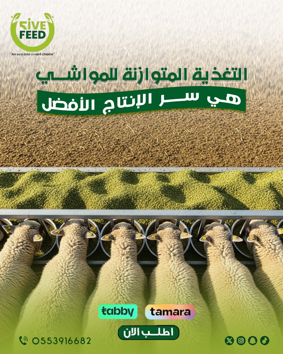 تختلف مكونات الأعلاف حسب نوع المواشي ومرحلة النمو ...

التنوع والاعتدال في التغذية يقللان من المشاكل الصحية ويعززان الإنتاجيه .
---

شركه فايف فييد لتجاره الاعلاف بخدمتكم 
📲0553916682

#اعلاف_الامارات_فايف_فيد
#اعلاف #اعلاف_الامارات #أعلاف_الإمارات #اعلاف_الامارات_ابوظبي