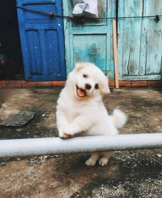 이 솬골드 저번에 도마뱀 빼꼼 동선 꼬여가지고 후다닥가서 기둥에 걍 손대고 이난리로 무릎만 접어서 했던게 코염졋는데 일회성이었다니.....(당연함)