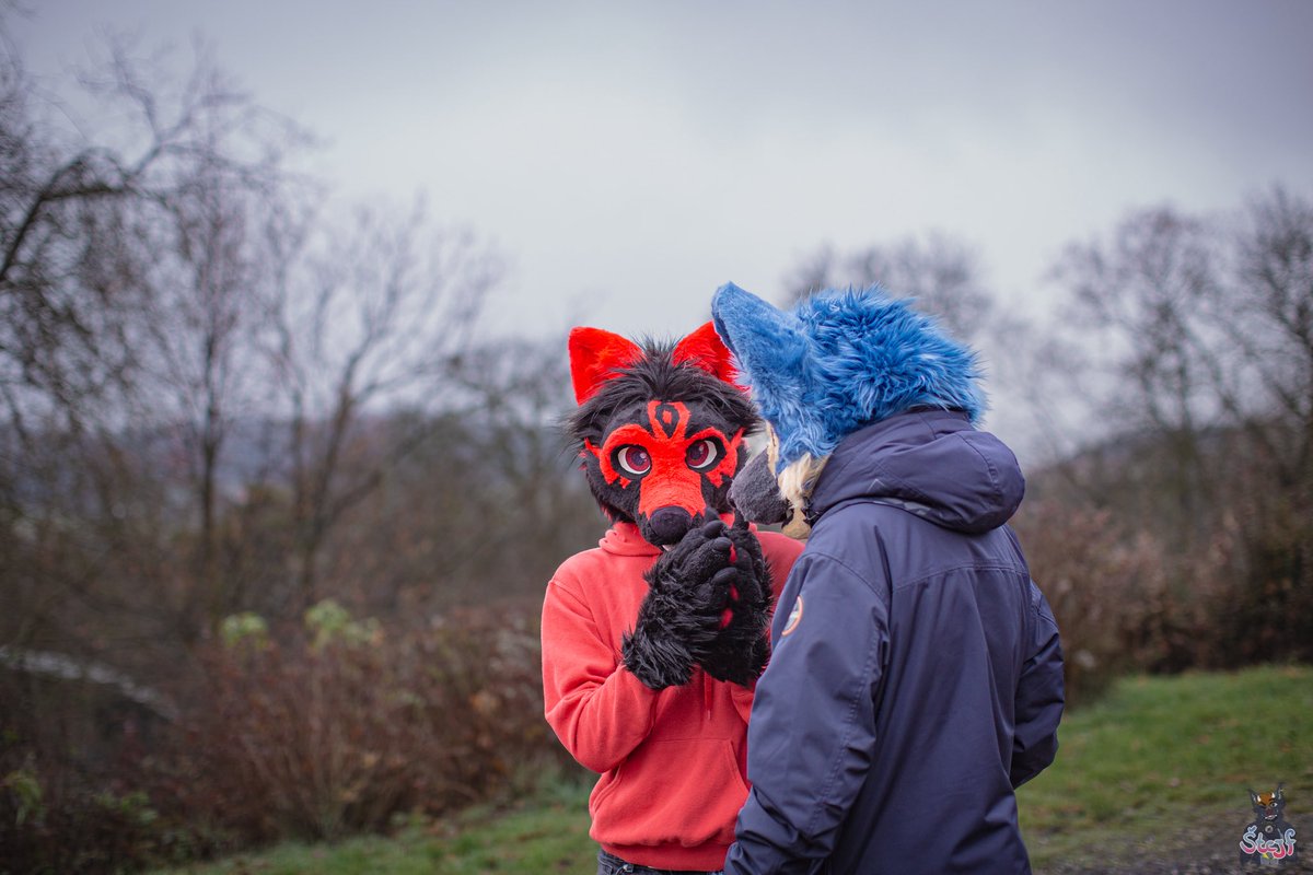 Vøjstřík tweet media