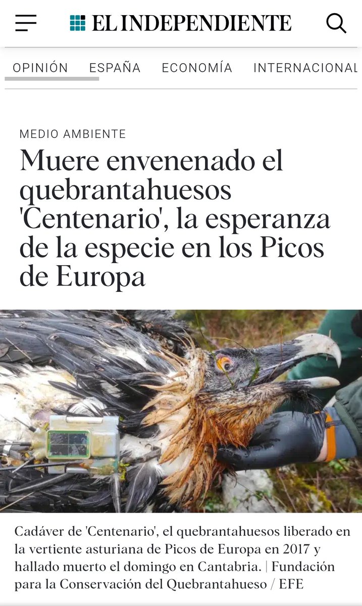 elindependiente.com/futuro/medio-a…