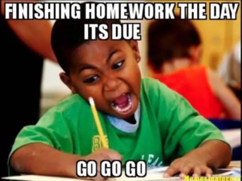 MarcyYoungBarcy's tweet image. #haha #hilarius #funnymemes #funnypost #jokes #humor #memes #adorable