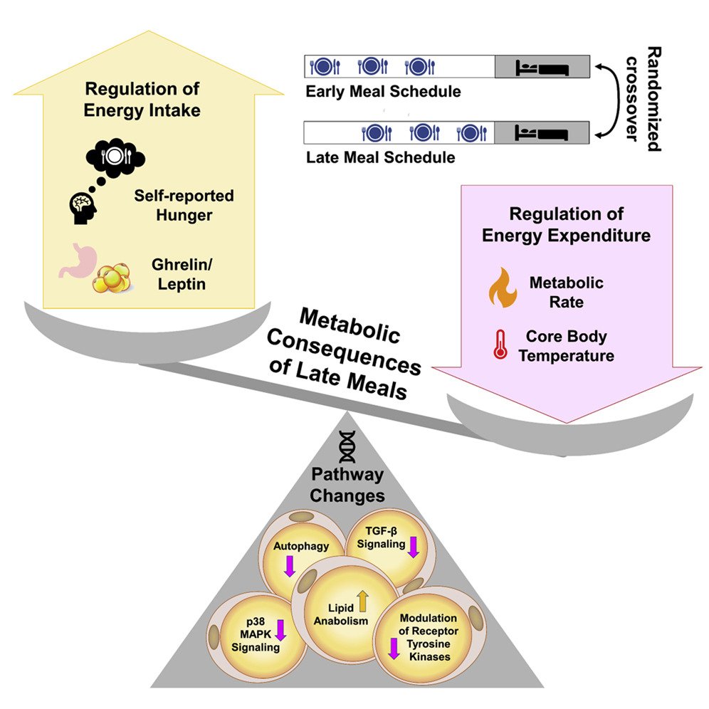 Brandon Luu, MD tweet media