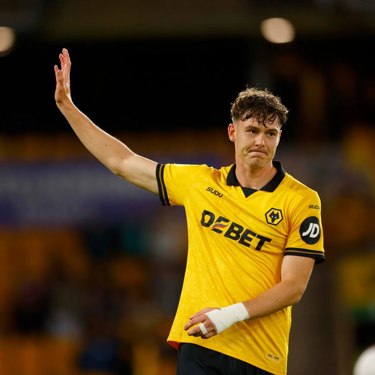 Talking Wolves tweet media