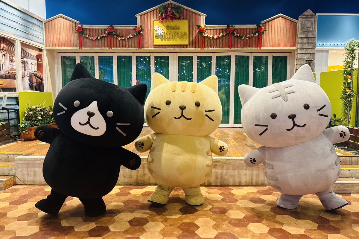 ⋰ 🐱#ふくふくにゃんこ📷 グリーティングイベント開催☆ˎˊ˗ ⋱ ふぁ