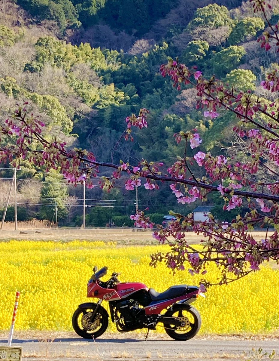 りおページ ゆうのアオーリオ🍏 (@MarinosZX4RR) / Posts / X