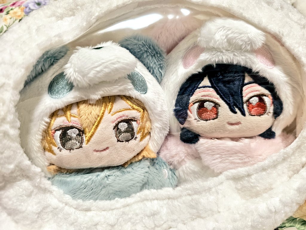 あぽかど (@Tlovasactree) / Posts / X