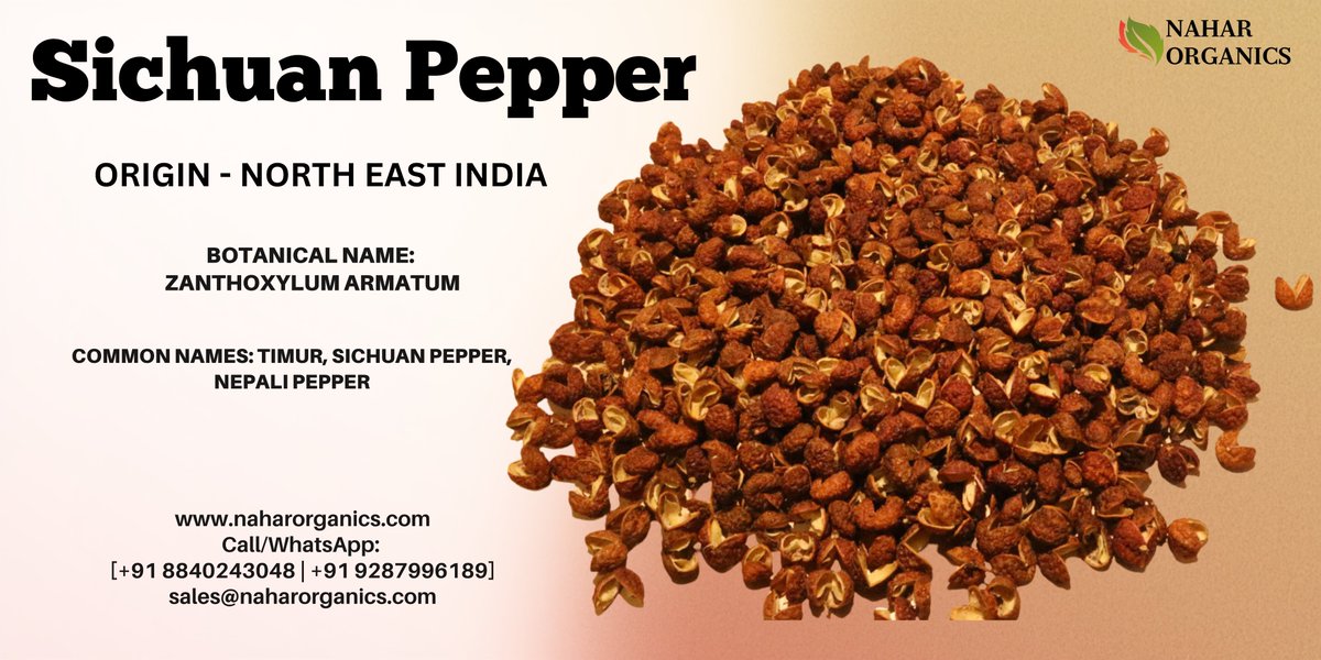 naharorganics1's tweet image. Experience the bold citrusy heat of Sichuan Pepper
Pure, aromatic, and organically grown to awaken every dish.
#NaharOrganics #SichuanPepper #OrganicSpices #PureAndNatural #AuthenticFlavours.