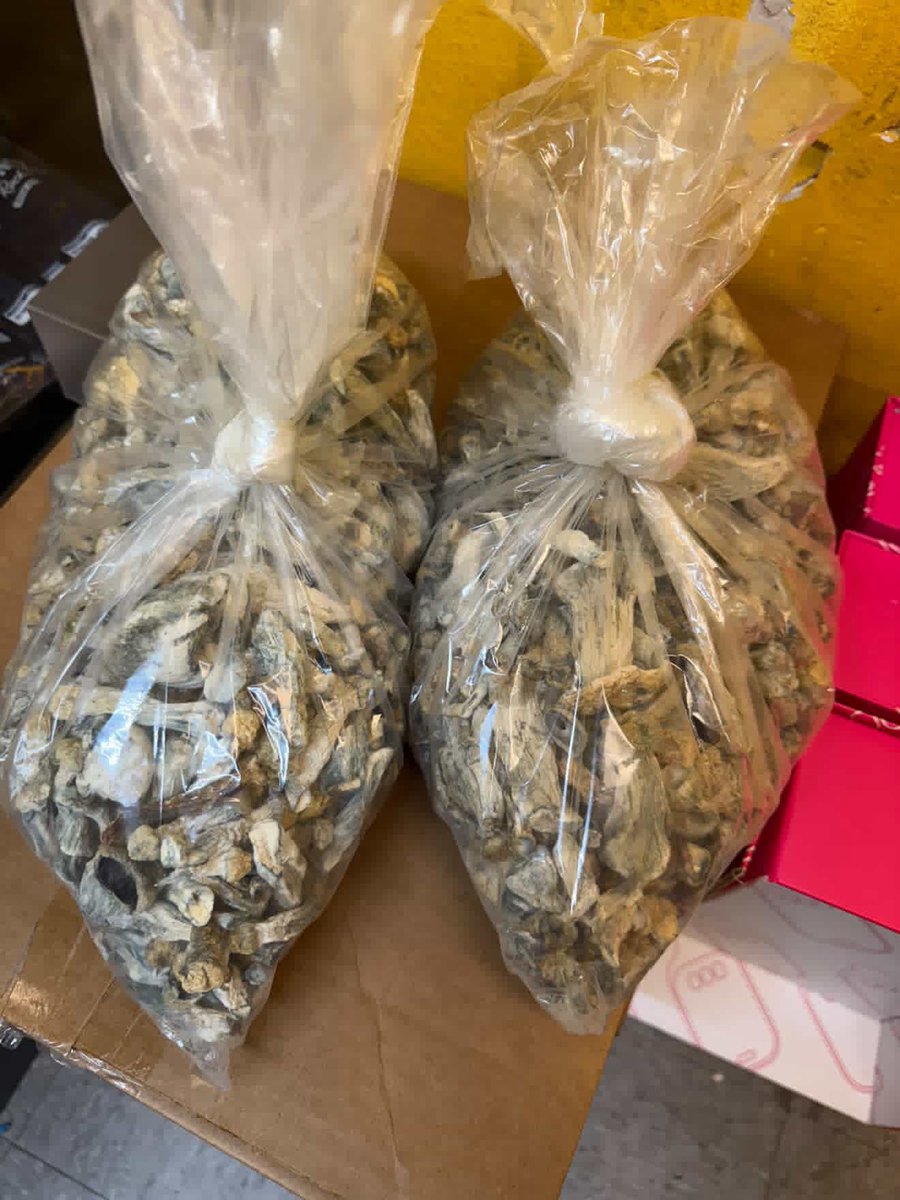 southeastzaplug's tweet photo. Who needs shrooms #htx im back https://t.co/3q3g6uBCYq