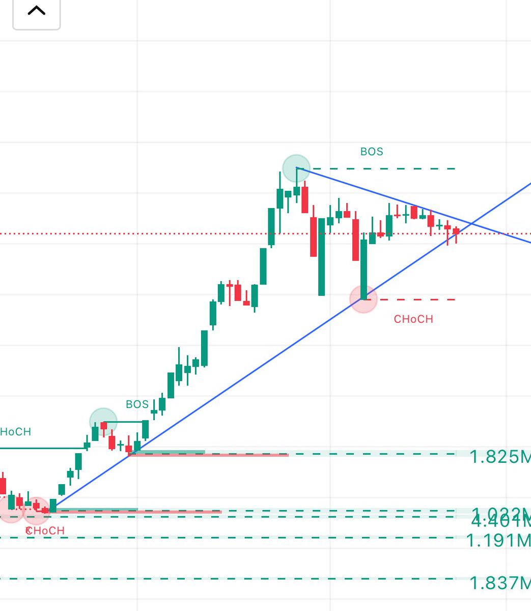 Exp_Ribon tweet media