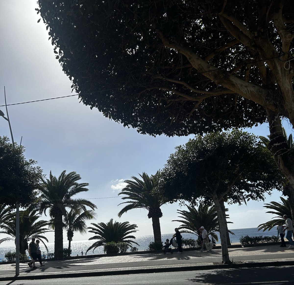 Victoria ✨ tweet media