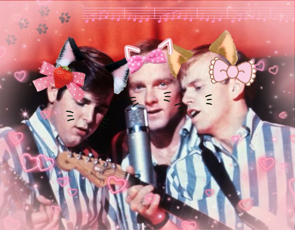 kolla is seeing mike love 𓂃✍ tweet media