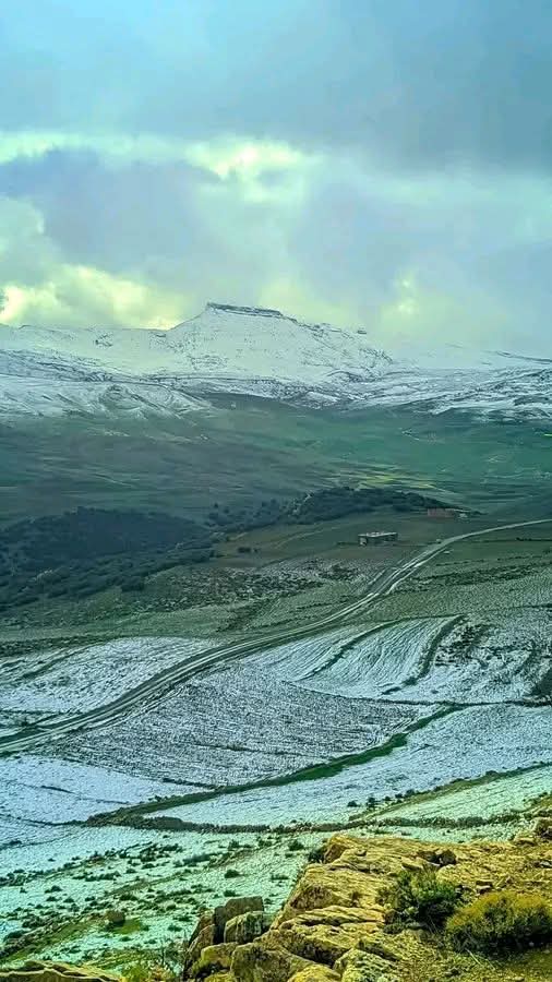 OS_Failure's tweet image. 