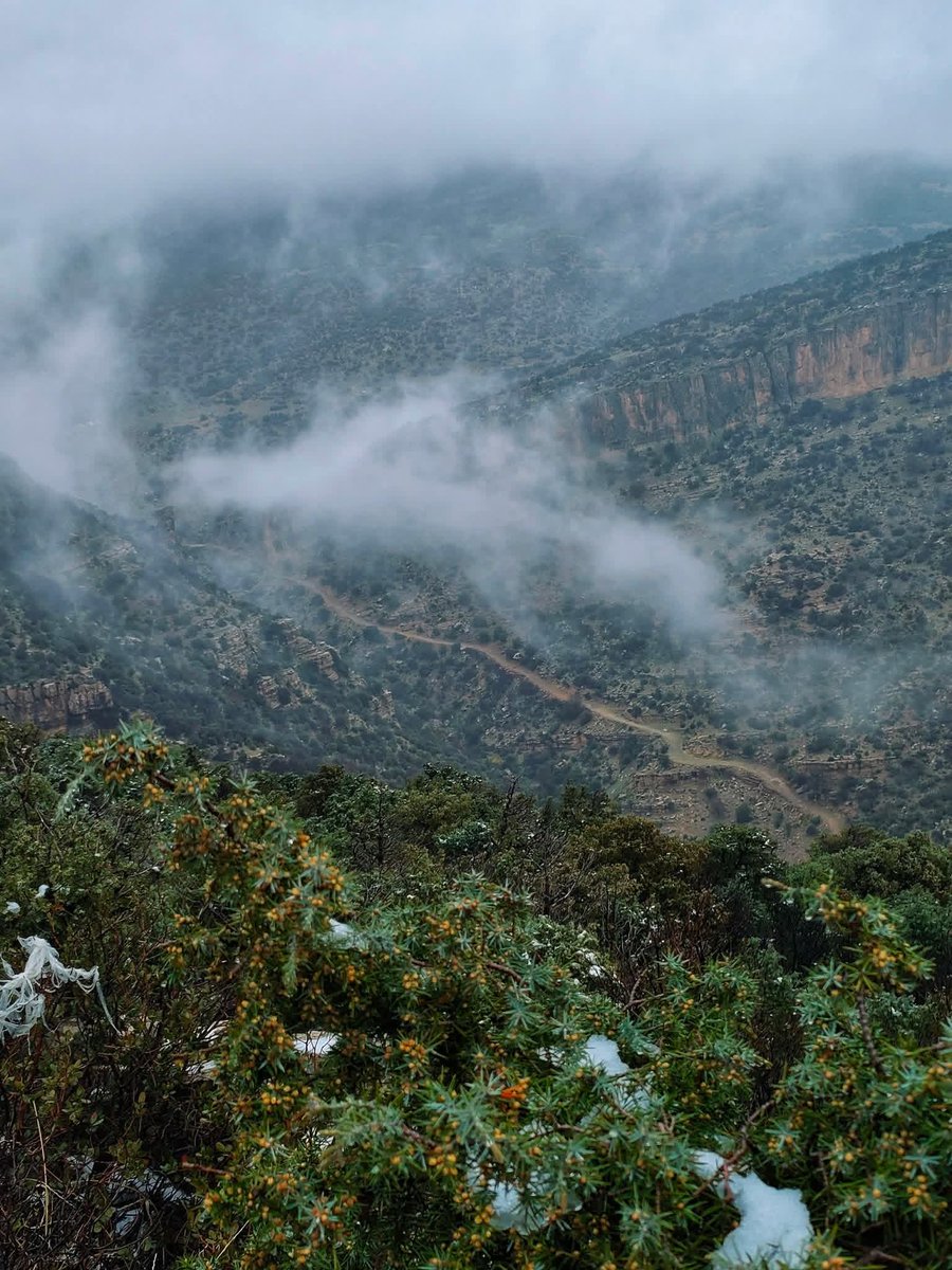 OS_Failure's tweet image. 