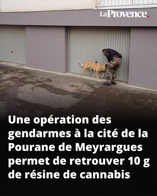 Un coup fatal porté au trafic de drogue !
Bravo à nos farces de l'ordre 👍