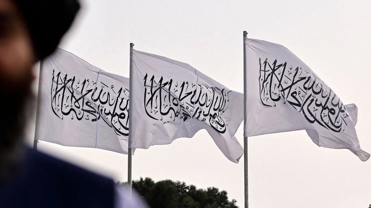 Trump Fact News 🇺🇸 tweet media