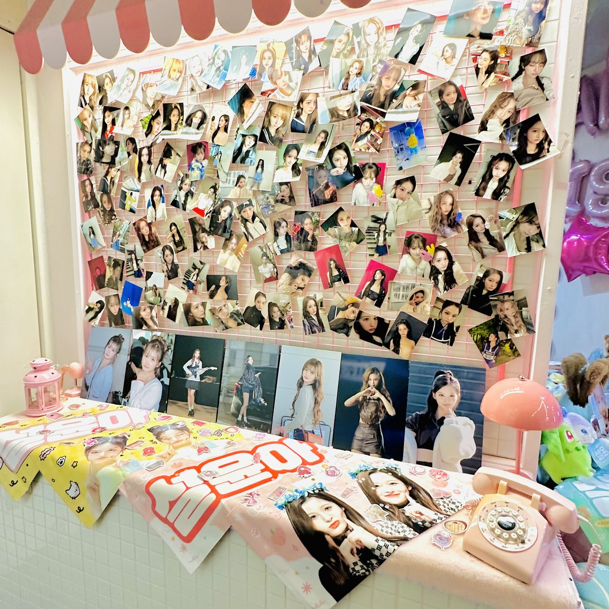 잘 갔다 왔습니다😽