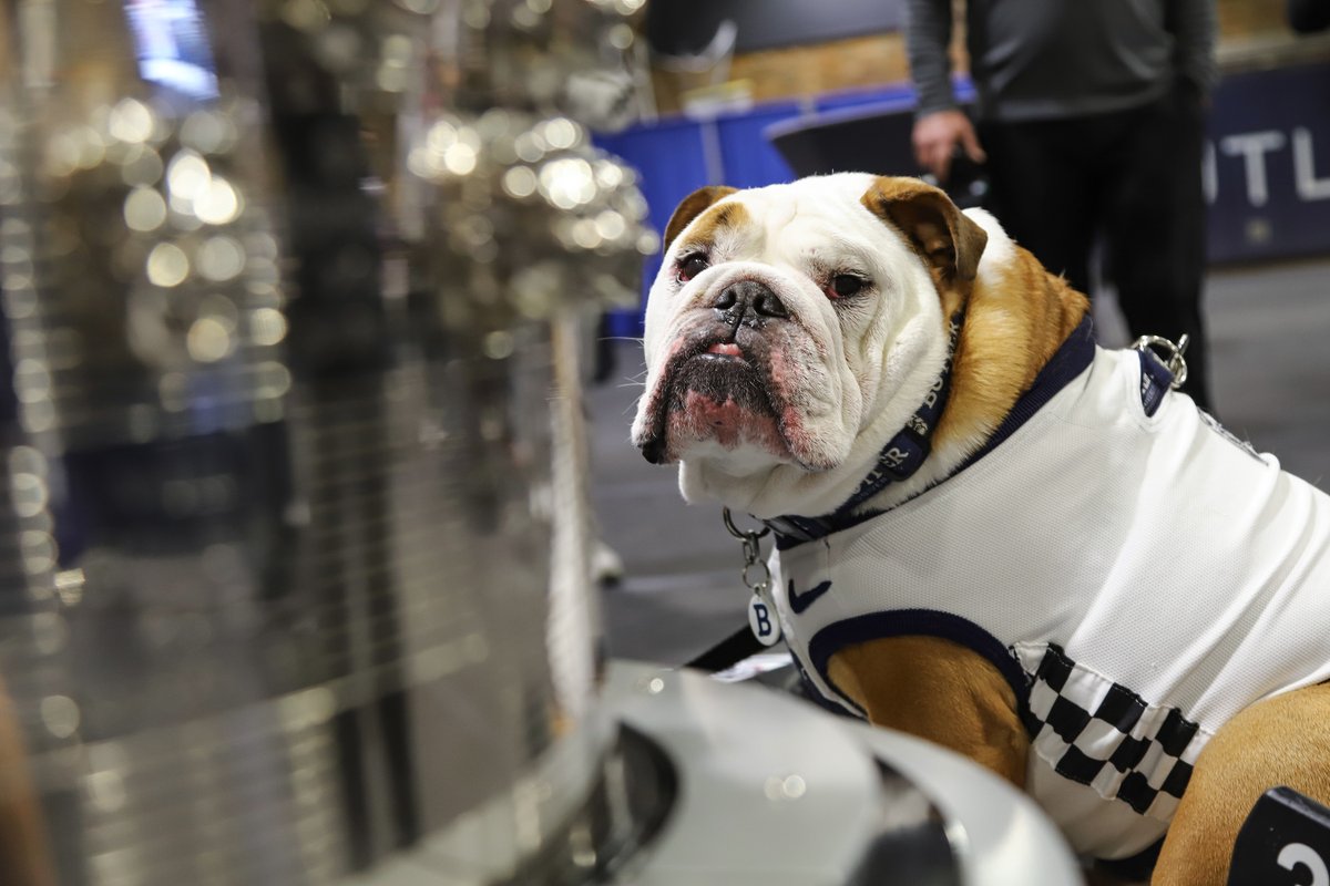 Indianapolis Motor Speedway tweet media