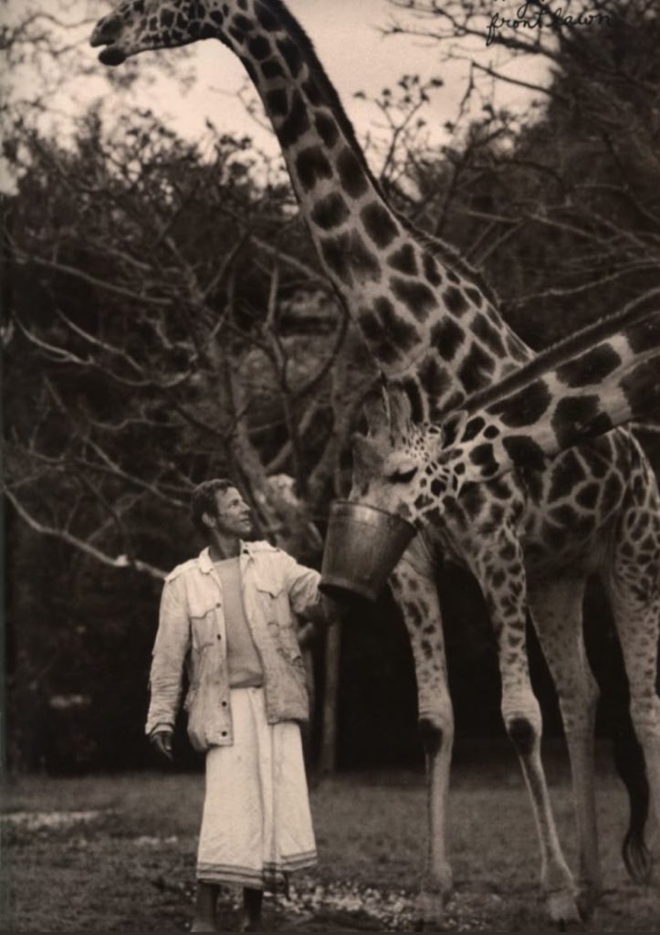 I dream of an Africa 
an Africa full of beauty and quiet strength,
rich in potential, alive with stories and adventure.
A pure land shaped by nature, joy, and light.
Maybe…
maybe someday.