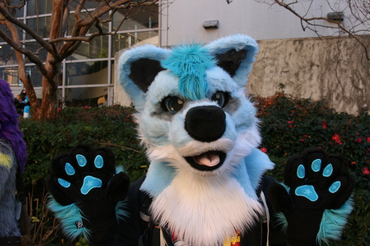 kimidori_1010's tweet image. #JMoF2026 
Owwyさん
@OwwyEenu 
寒色系の青い毛でクールな感じもありつつ大きなお鼻に舌だしで可愛らしいケモノさん。
よく見ると肉球に星の模様があってとてもキュートでした。
撮影ありがとうございました。